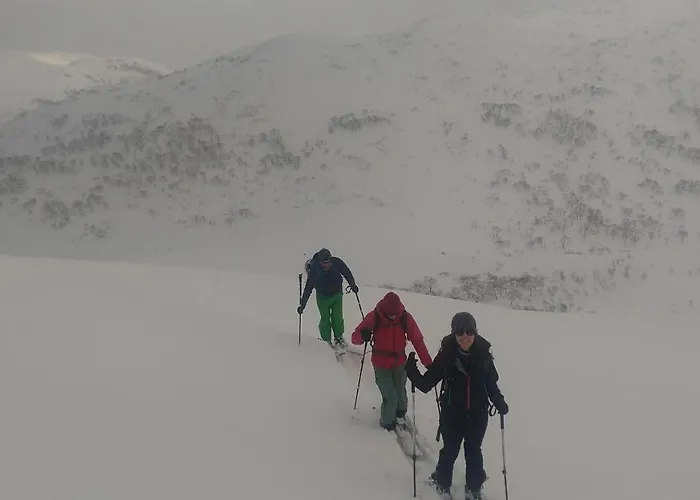 Ski Base 赤井川村