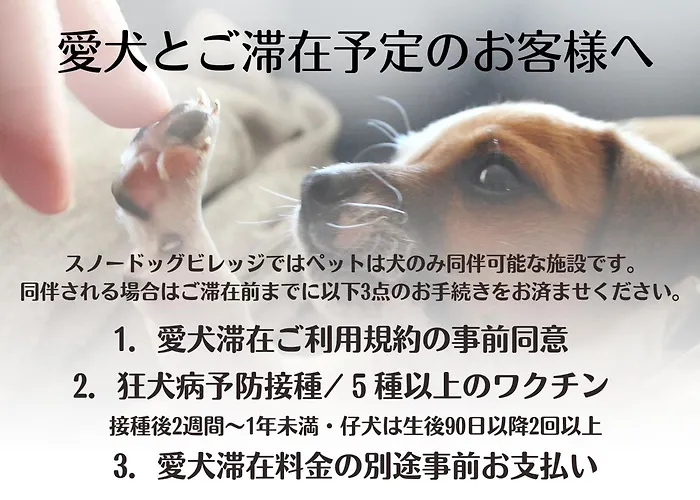 Niseko Condos for Rent